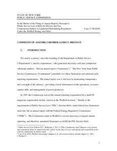 STATE OF NEW YORK PUBLIC SERVICE COMMISSION In the Matter of the Filing of Annual Reports Pursuant to Public Service Law § 66(6) by Electric and Gas Corporations Subject to Lightened Ratemaking Regulation Under the Wall