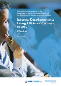 This report has been prepared for the Department of Energy and Climate Change and the Department for Business, Innovation and Skills Industrial Decarbonisation & Energy Efficiency Roadmaps