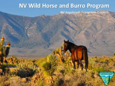 Wild Horse and Burro Program