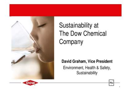 Sustainability at The Dow Chemical Company David Graham, Vice President Environment, Health & Safety, Sustainability