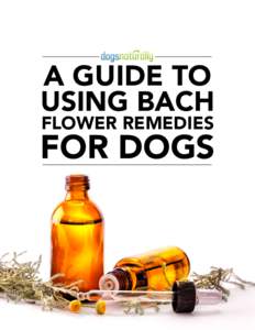 A GUIDE TO USING BACH FLOWER REMEDIES FOR DOGS