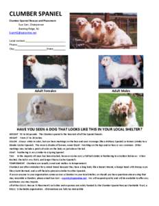 CLUMBER SPANIEL Clumber Spaniel Rescue and Placement Sue Carr, Chairperson Basking Ridge, NJ [removed] Local contact: