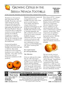 GROWING CITRUS  GROWING CITRUS IN THE SIERRA NEVADA FOOTHILLS  Page 1