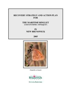 RECOVERY STRATEGY AND ACTION PLAN FOR THE MARITIME RINGLET (COENONYMPHA NIPISIQUIT)  IN