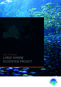 Bay of Bengal  LARGE MARINE ECOSYSTEM PROJECT  a shared vision