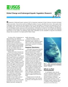 Global Change and Submerged Aquatic Vegetation Research  Communities of submerged aquatic vegetation (SAV) are important components of many freshwater, brackish, and marine aquatic ecosystems. They prevent erosion by baf