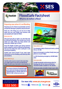 FloodSafe Factsheet What to do before a flood Preparing now when it’s not flooding  Better Floo