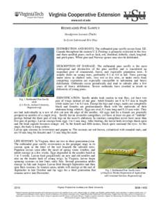 REDHEADED PINE SAWFLY Neodiprion lecontei (Fitch) by Scott Salom and Eric Day DISTRIBUTION AND HOSTS: The redheaded pine sawfly occurs from S.E. Canada throughout the eastern U.S. Feeding is primarily restricted to the t