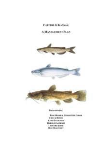 CATFISH IN KANSAS: A MANAGEMENT PLAN PREPARED BY: TOM MOSHER, COMMITTEE CHAIR CHUCK BEVER