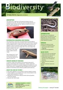 Biodiversity Information Sheet: Ornate skink - Taranaki Regional Council