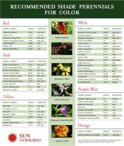 RECOMMENDED SHADE PERENNIALS FOR COLOR White Red NAME & VARIETY