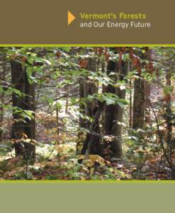 Vermont’s Forests and Our Energy Future Vermont can be a leader in the innovation, production and sustainable use of biomass energy from local wood if considerations