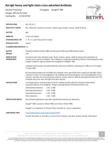 Rat IgG-heavy and light chain cross-adsorbed Antibody Donkey Polyclonal Conjugate  DyLight® 488