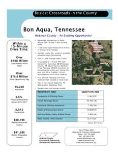 Microsoft Word - Bon Aqua Flyer 2012