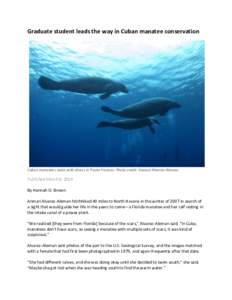 Graduate student leads the way in Cuban manatee conservation  Cuban manatees swim with divers in Punta Frances. Photo credit: Anmari Alvarez-Aleman Published March 8, 2016 By Hannah O. Brown