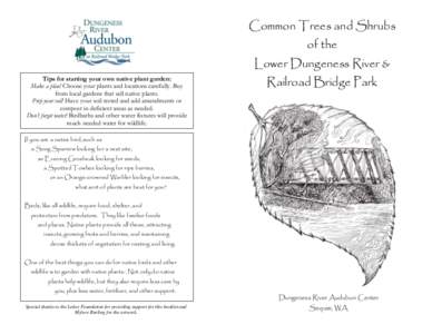 Common Trees and Shrubs of the Lower Dungeness River & Tips for starting your own native plant garden: Make a plan! Choose your plants and locations carefully. Buy from local gardens that sell native plants.