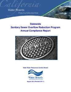 Environmental engineering / Public health / Civil engineering / Sanitary sewer overflow / Sanitary sewer / Sewage / Sewer / Sanitation / Sewerage / Water pollution / Environment
