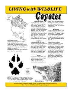 Urban animals / Canines / Coyote / Gray wolf / Wile E. Coyote and Road Runner / Cougar / Wildlife Services / Hunting / Canidae / Zoology / Biology / Fauna of the United States