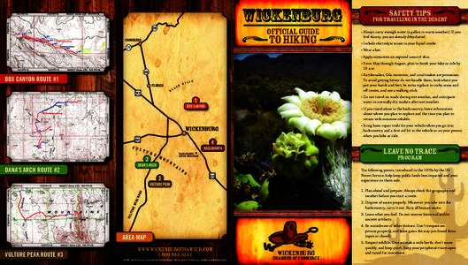 wickenburg 89 official guide  to hiking
