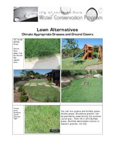 Microsoft Word - Copy of Lawn Alt- Climate Appropriate Grasses.doc