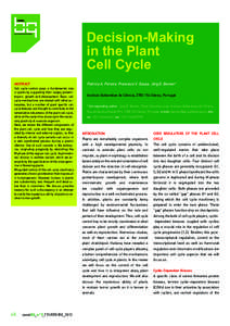 Cyclin / Endoreduplication / E2F / CDC20 / G1 phase / Retinoblastoma protein / S phase / CDK-activating kinase / Cdc25 / Biology / Cell biology / Cell cycle