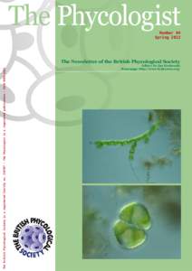 The Phycologist Number 84 Spring 2013 The British Phycological Society is a registered Charity no[removed]The Phycologist is a registered publication - ISSN[removed]