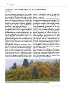 Grünspecht – ein echter Europäer, der (noch) gut lachen hat Erich Gasser Der Naturschutzbund Deutschland (NABU) und der Landesbund für Vogelschutz in Bayern (LBV) haben den Grünspecht (Picus viridis) zum »Vogel de