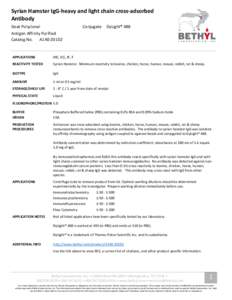 Syrian Hamster IgG-heavy and light chain cross-adsorbed Antibody Goat Polyclonal Conjugate