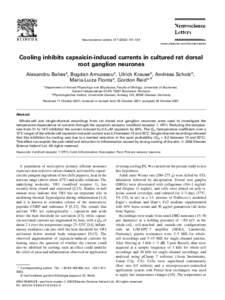 Neuroscience Letters[removed]–134 www.elsevier.com/locate/neulet Cooling inhibits capsaicin-induced currents in cultured rat dorsal root ganglion neurones Alexandru Babes a, Bogdan Amuzescu a, Ulrich Krause b, An
