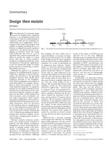 Commentary  Design then mutate Jeff Hasty* Department of Bioengineering, University of California at San Diego, La Jolla, CA[removed]