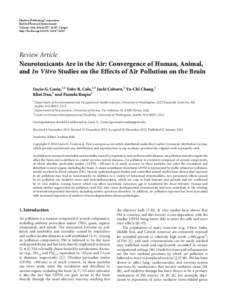 Neurotoxicants Are in the Air: Convergence of Human, Animal, and In Vitro Studies on the Effects of Air Pollution on the Brain