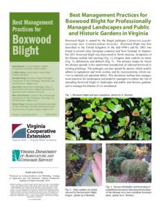 Best Management Practices for Boxwood Blight Adria Bordas, Extension Agent, Virginia