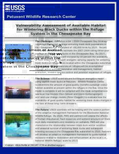 Patuxent Wildlife Research Center Vulnerability Assessment of Available Habitat for Wintering Black Ducks within the Refuge System in the Chesapeake Bay The Challenge: Executive order[removed]Chesapeake Bay Strategy requir