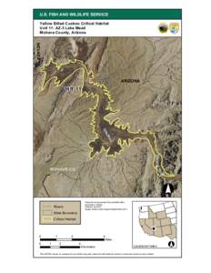 U.S. FISH AND WILDLIFE SERVICE Yellow Billed Cuckoo Critical Habitat Unit 11: AZ-3 Lake Mead Mohave County, Arizona  NEVADA