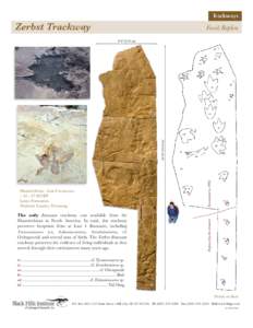 Edmontosaurus / Lance Formation / Trackway / Geology / Environment of the United States / Western United States / Tyrannosaurs / Tyrannosaurus / Struthiomimus