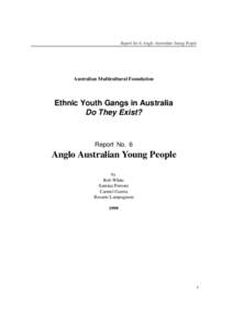 Report No 6: Anglo Australian Young People  Australian Multicultural Foundation Ethnic Youth Gangs in Australia Do They Exist?