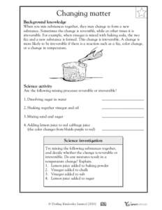 Vinegar / Fizz / Irreversible / Baking powder / Chemical change / Science / Thermodynamics / Physical change / Irreversible process