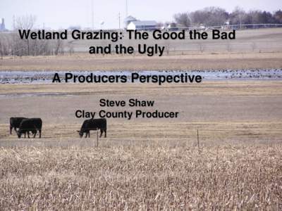 Wetland Grazing: The Good the Bad and the Ugly A Producers Perspective Steve Shaw Clay County Producer