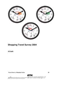 Shopping Travel Survey 2004