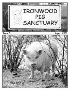 Domestic pig / Ironwood /  Michigan / Zoology / Biology / Geography of the United States / Ironwood Pig Sanctuary / Pot-bellied pig / Pig