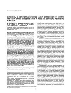 Cerebrum / Neurotransmitters / Basal ganglia / Catecholamines / Catechol-O-methyl transferase / Dopamine / Norepinephrine / Ventral tegmental area / Substantia nigra / Brain / Anatomy / Midbrain