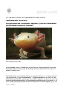 URL: http://www.uni-jena.de/Forschungsmeldungen/FM150508_Axolotl.pdf  Das älteste Labortier der Welt Wissenschaftler der Universitäten Regensburg und Jena ziehen Bilanz von 150 Jahren Forschung am Axolotl