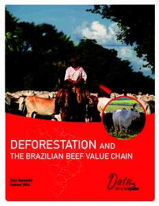 P O S T- P R O J E C T R E P L I C A T I O N O F S A V I N G S G R O U P S I N U G A N D A  DEFORESTATION AND THE BRAZILIAN BEEF VALUE CHAIN Datu Research