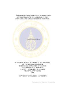 MORPHOLOGY AND HISTOLOGY OF THE FAMILY LITTORINIDAE AND POTAMIDIDAE AT TBT AND NON-TBT CONTAMINATED AREAS, CHONBURI PROVINCE