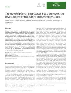 Article  The transcriptional coactivator Bob1 promotes the development of follicular T helper cells via Bcl6 Dennis Stauss1, Cornelia Brunner2, Friederike Berberich-Siebelt3, Uta E Höpken1, Martin Lipp1 & Gerd Müller1,