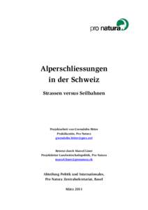 Microsoft Word - Bericht_Alperschliessungen_extern.doc