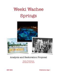 Weeki Wachee Springs Analysis and Restoration Proposal Kathy FitzPatrick November 28, 2010