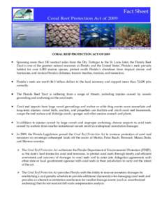 Fisheries / Physical geography / Ecosystems / Islands / Coastal geography / Florida Reef / Coral / Human impact on coral reefs / Florida Keys National Marine Sanctuary / Coral reefs / Florida Keys / Water