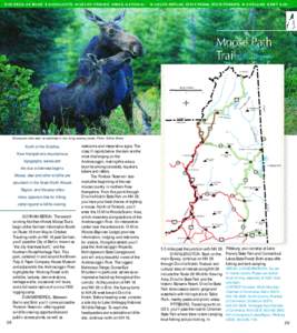 D I S TANCE: 98 MILES ➧ HIGHLIGHTS: WILDLIFE VIEWING AREA S, NATION AL  WILDLIFE REFUGE, STATE PARKS, STATE FORESTS, WOODLA ND H ERIT A G E Moose are often seen at roadsides in low-lying swampy areas. Photo: ©Alan Bri