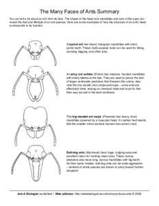 The Many Faces of Ants Summary You can tell a lot about an ant from its face. The shape of the head and mandibles and size of the eyes can reveal the diet and lifestyle of an ant species. Here are some examples of how th